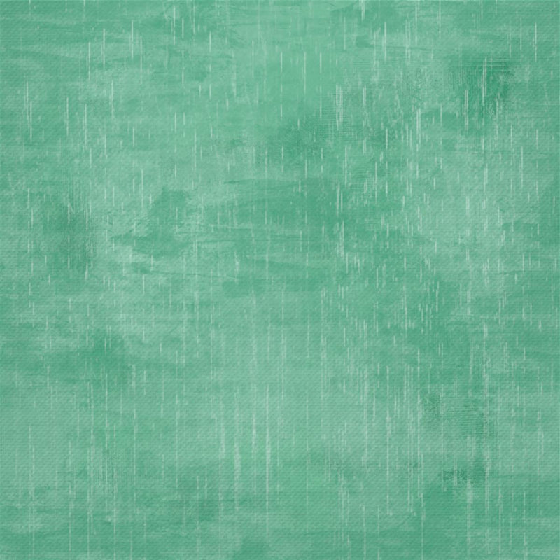 Cricut Infusible Ink Transfer Sheets 4-pack Distressed Grassland